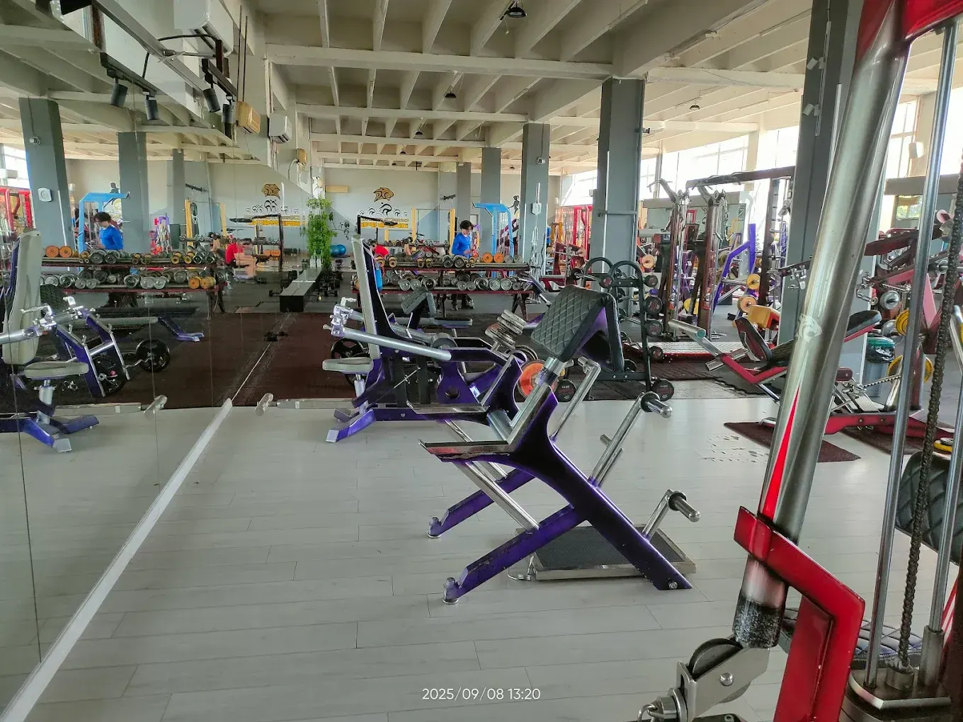 Daso CADO ART GYM